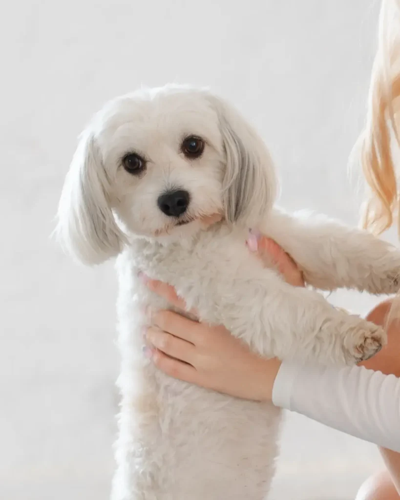 anita_piotr_koniczynkafotografia-189