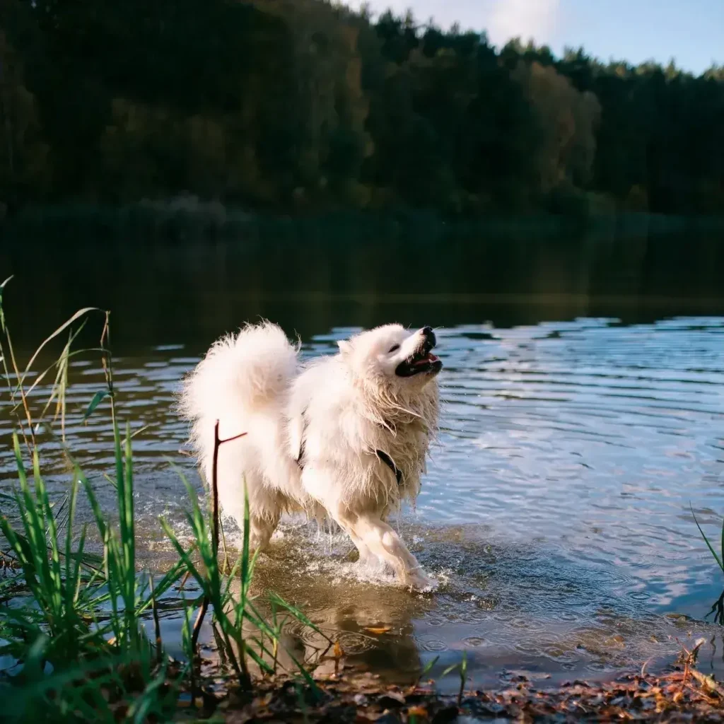 kuba_hati_koniczynkafotografia-63