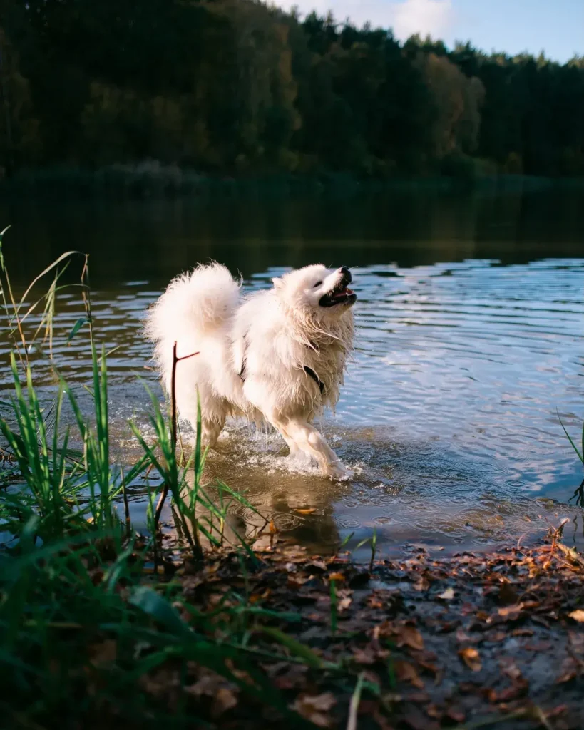 kuba_hati_koniczynkafotografia-63